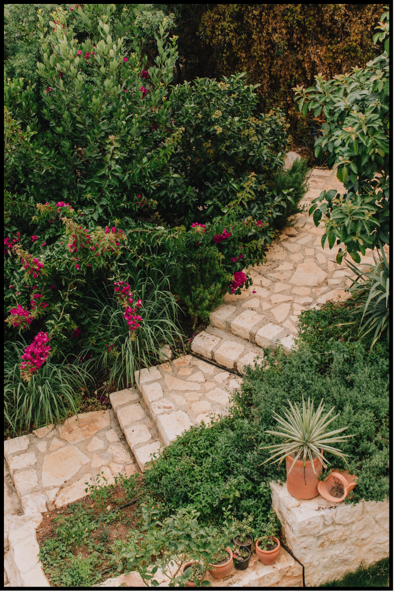 Stone steps leading through a garden
