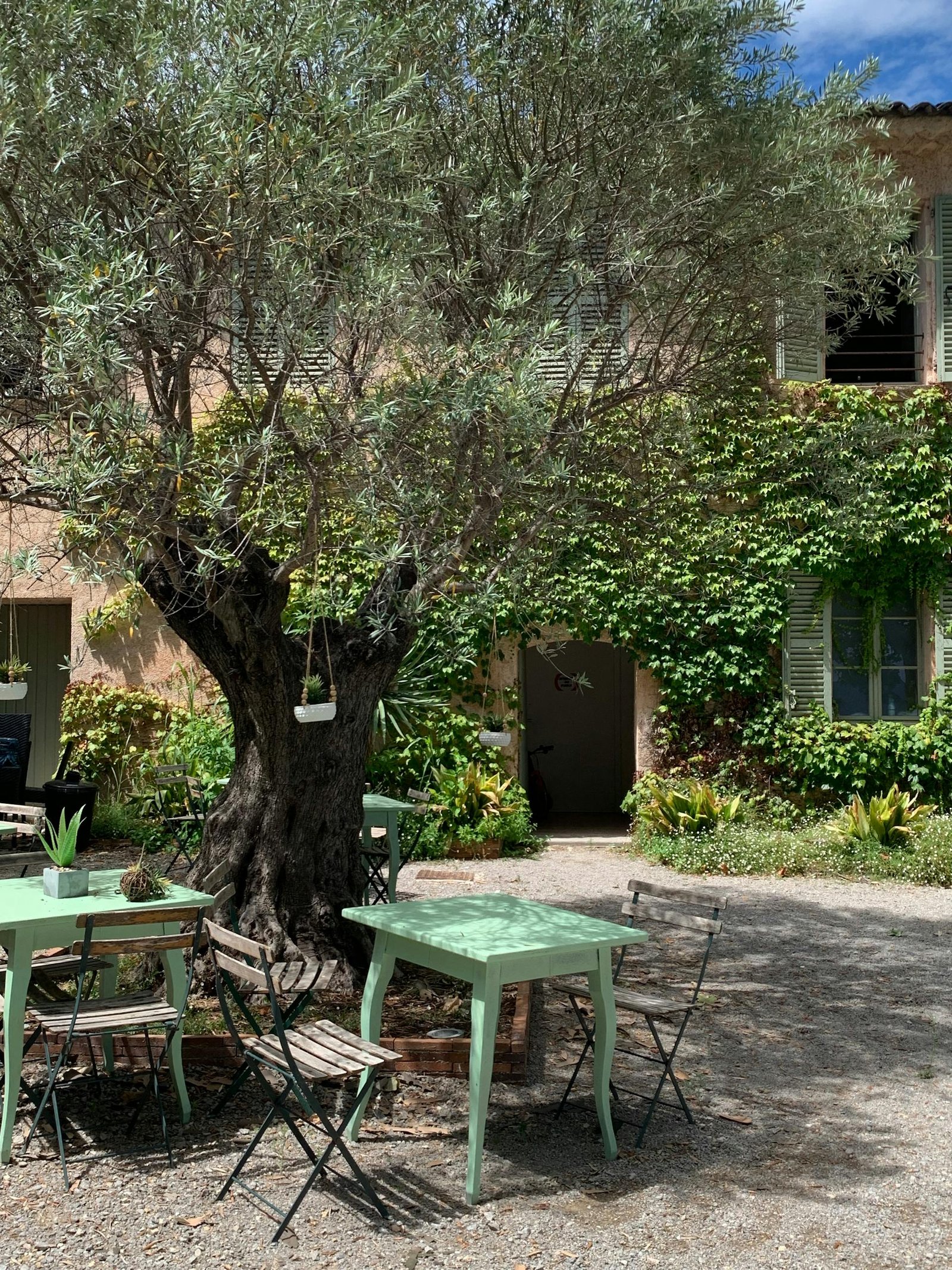 Serene outdoor setting in France with an olive tree, tables, and chairs under a clear sky.