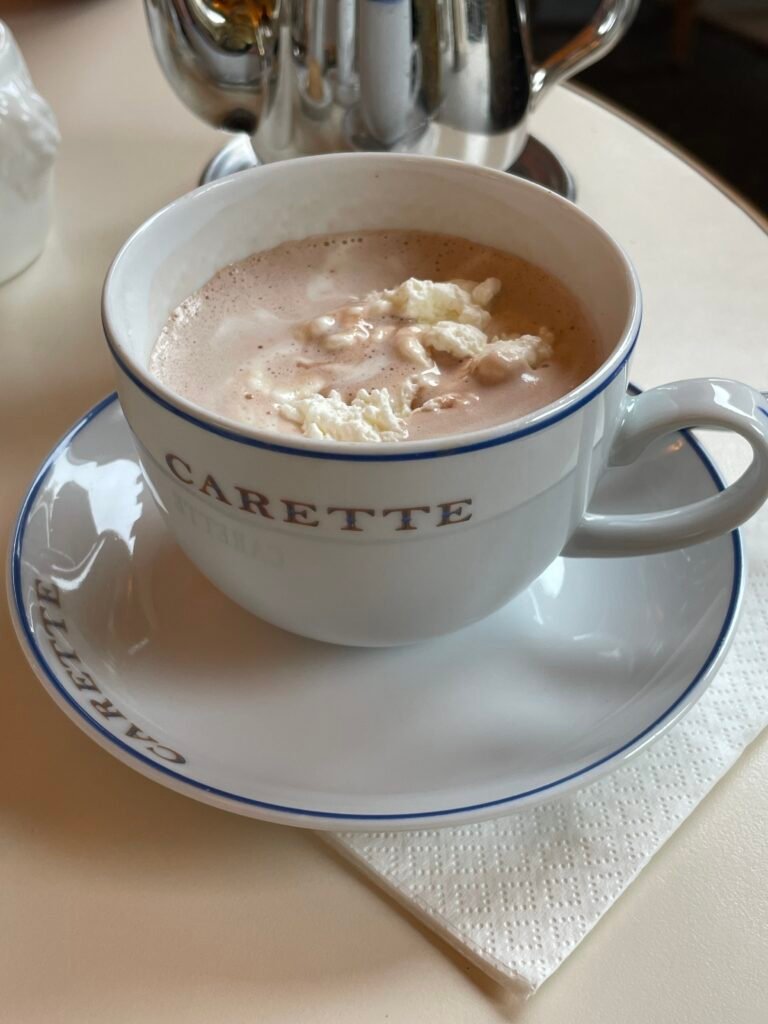 A cup of chocolat chaud with whipped cream