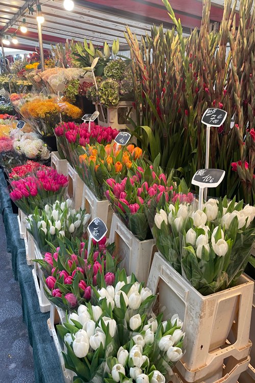 Tulips at the Bastille Market