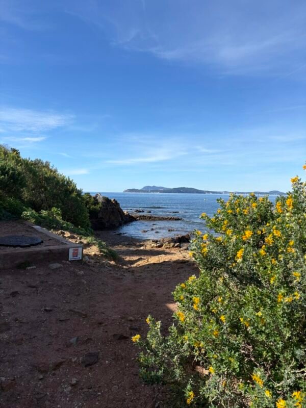 Cani-Plouf, a dog-friendly section of beach by Plage de la Garonne