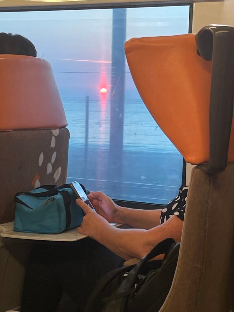 View of the coastline from a TER train