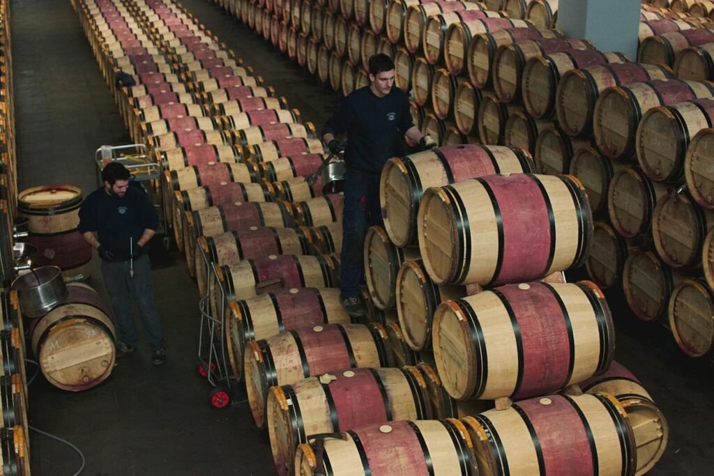 Workers managing oak barrels in a Margaux wine cellar, France.